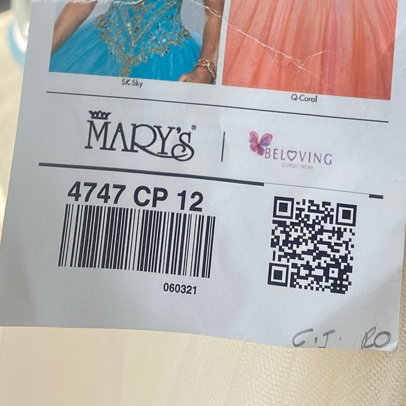 Champagne Quinceañera Dress (New w/ tags) - Picture 10 of 10